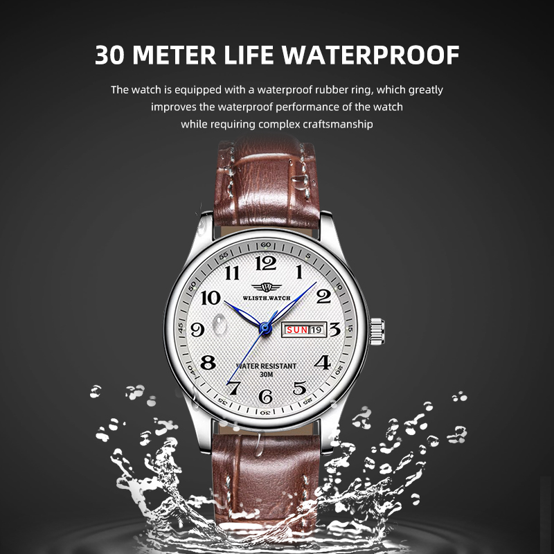 WLISTH Luxury Brand Men's Watc - Luxury Watch Exhibition review and price