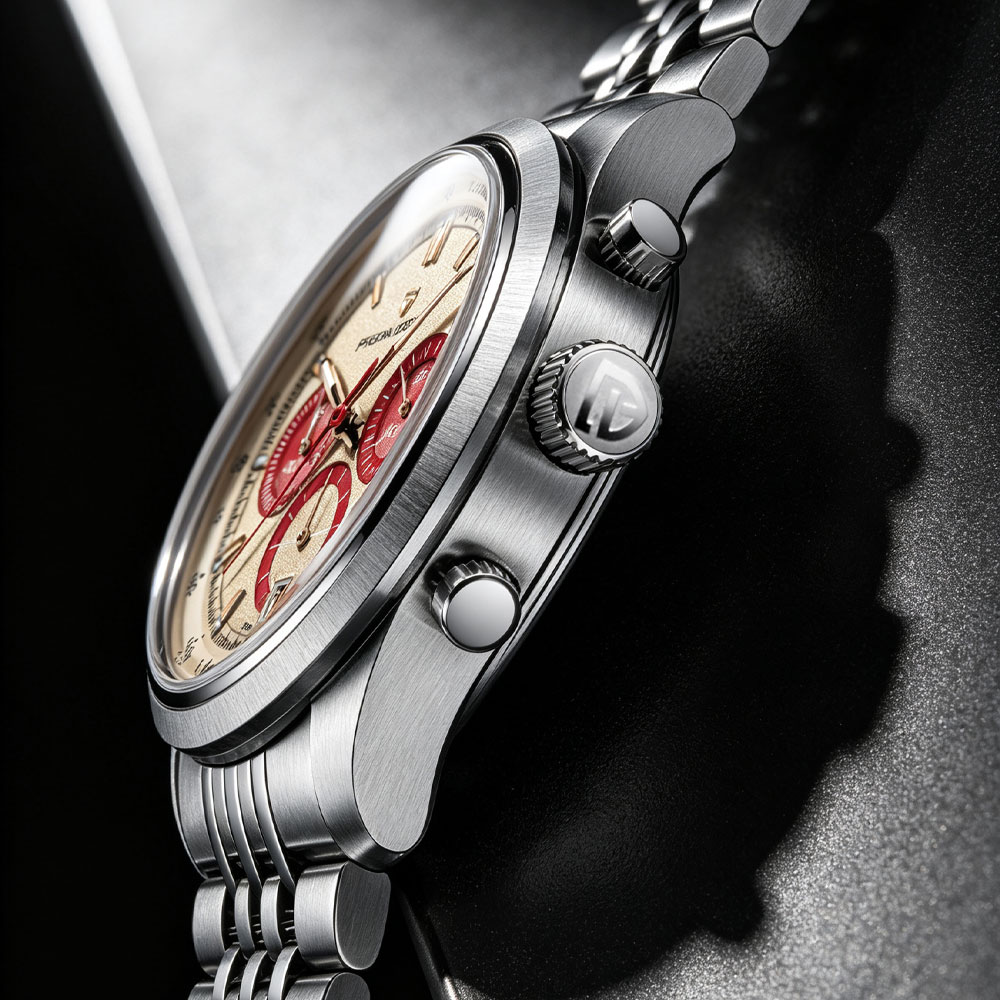 PAGANI DESIGN New Men Watch Lu - Luxury Watch For Men review and price