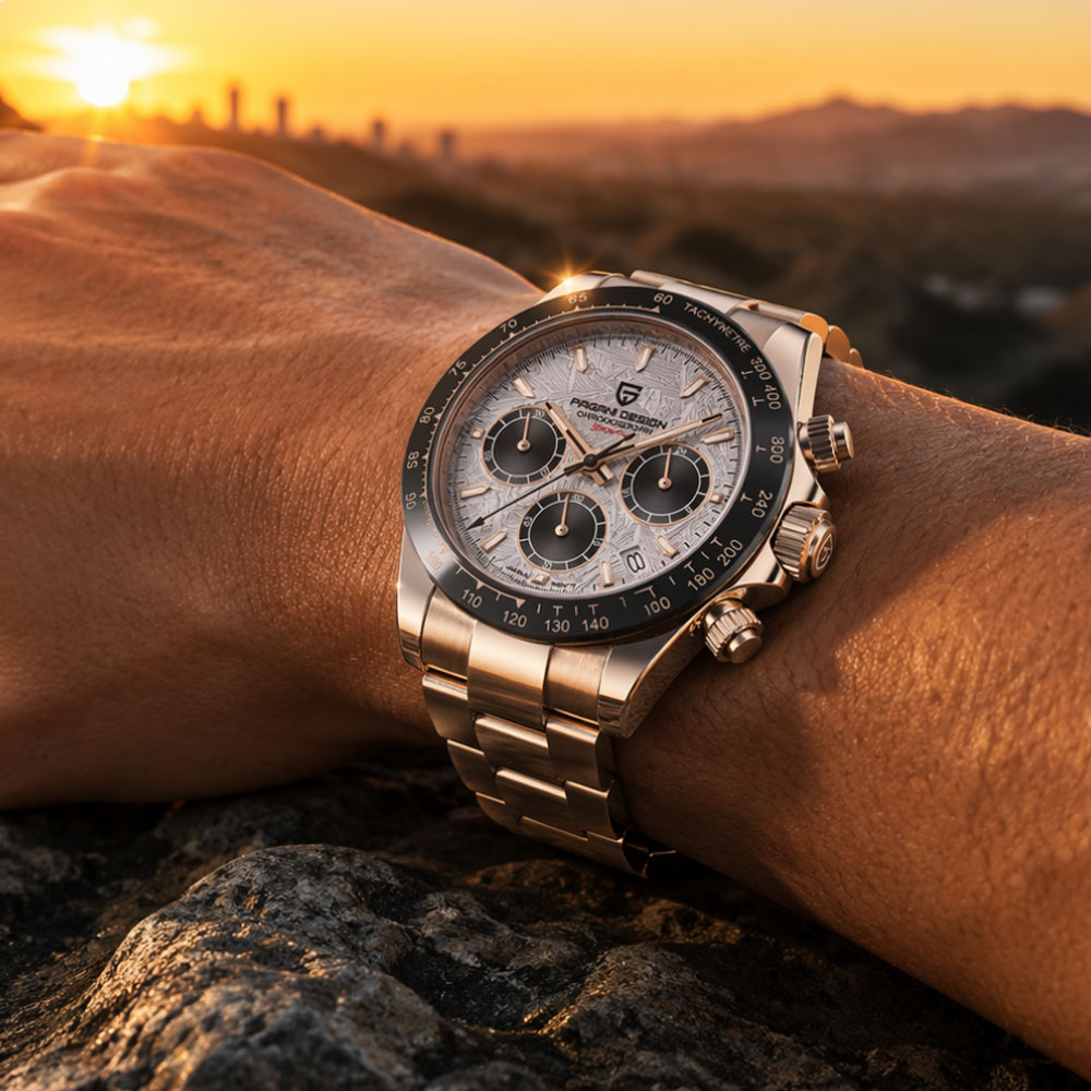 Top Brand PAGANI DESIGN Luxury - Luxury Watch Brand review and price