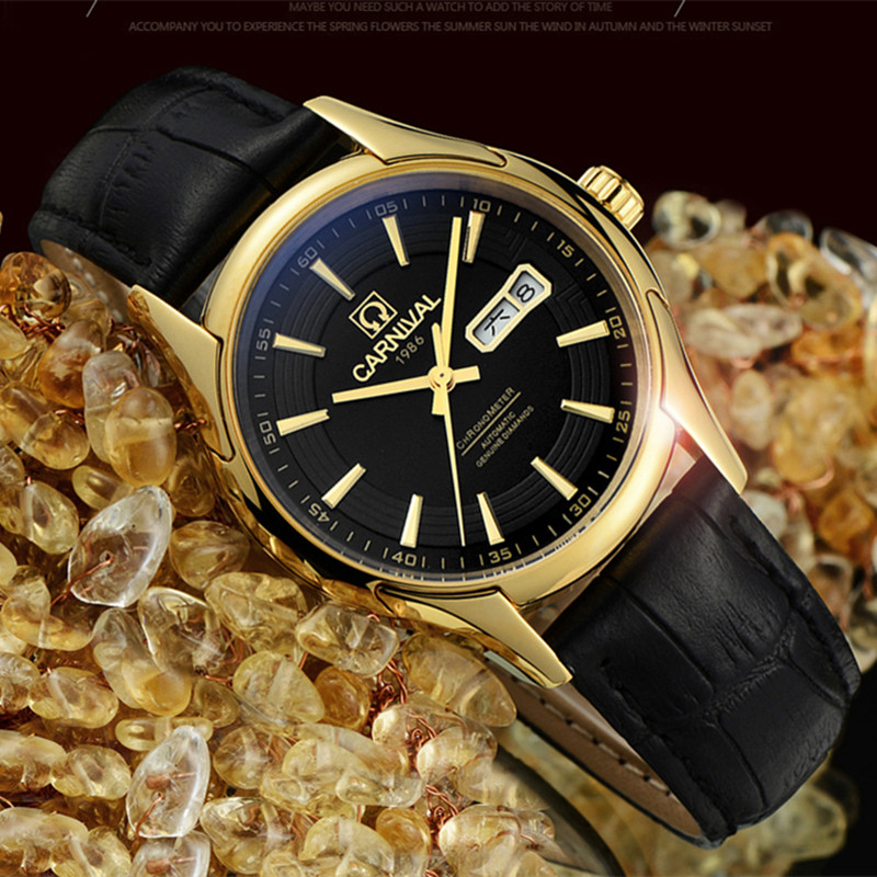 Carnival Brand Luxury Watches  - Luxury Watch Winder review and price
