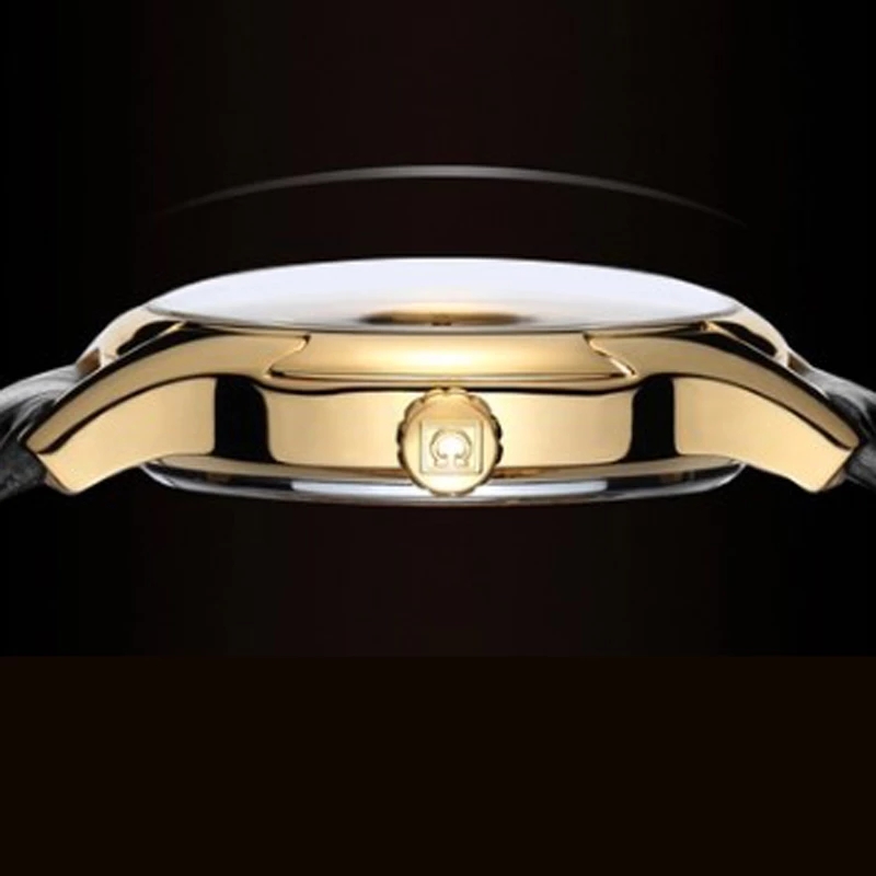 Carnival Brand Luxury Watches  - Luxury Watch Winder review and price